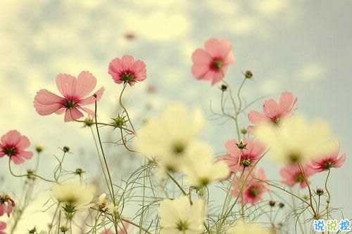 異地戀的酸甜苦辣說說大全帶圖片 關(guān)于異地戀的微信說說8