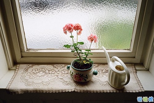 有些傷感的關(guān)于人生和成長(zhǎng)的說說帶圖片 生活的本質(zhì)就是離別1