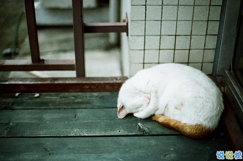 男生霸氣說說適合比較拽的人 十分獨特的超霸氣說說大全1