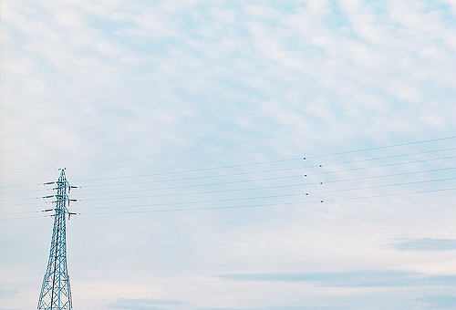 適合喜歡一個(gè)人時(shí)發(fā)的甜蜜愛(ài)情說(shuō)說(shuō)帶圖片 ?有你有我有吃的就又是美好的一天9