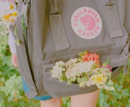 超唯美勵志的早安心語哲理說說帶圖片11