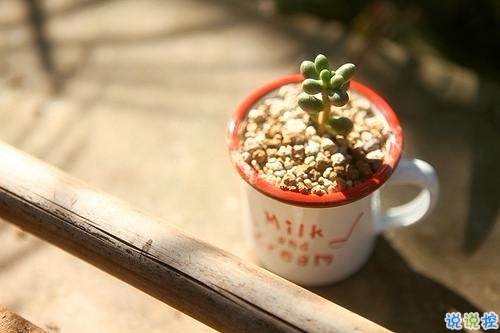 朋友圈早安勵(lì)志句子長(zhǎng)一點(diǎn)的 美好的一天勵(lì)志句子新的開(kāi)始2