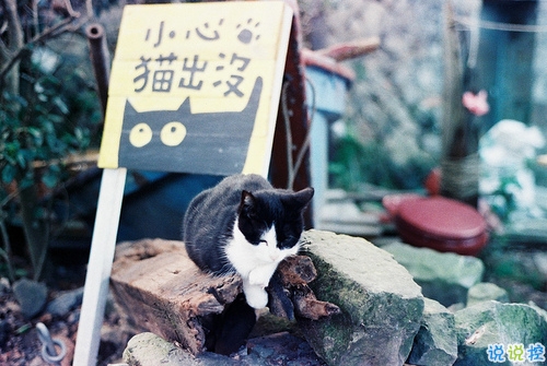 分手后泣不成聲的難過悲傷說說帶圖片 有的人陪你一半就走了說說3