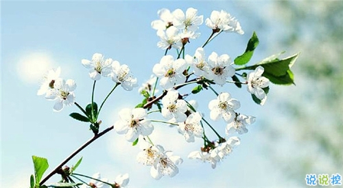 qq說(shuō)說(shuō)春天唯美小清新 春天的唯美短句子說(shuō)說(shuō)2