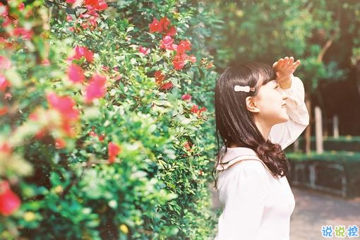 2019年三七女生節(jié)微信說說祝福語 女生節(jié)快樂致所有女生2