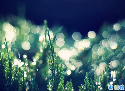 2019復活節(jié)祝福語英文大全帶翻譯配圖 復活節(jié)快樂說說致所有人7