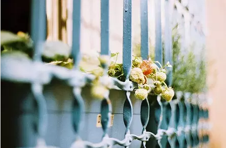 2018最新寫給傻傻的自己配圖 傻傻的話寫給自己一段話圖片9