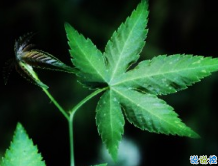 女生現(xiàn)實(shí)霸氣個(gè)性說(shuō)說(shuō)配圖大全 最新最酷女生個(gè)性說(shuō)說(shuō)帶圖片6