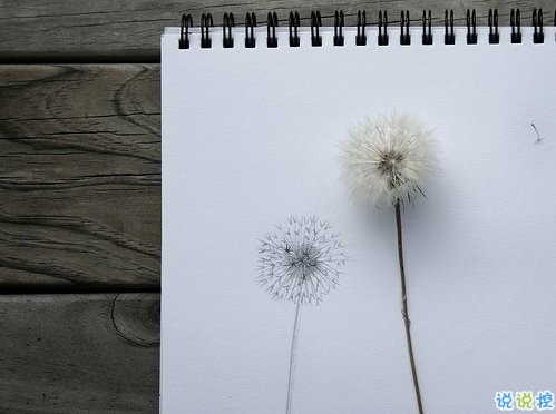 關(guān)于愛情簡(jiǎn)單又有道理的句子配圖 愛情是一個(gè)人的天荒地老14