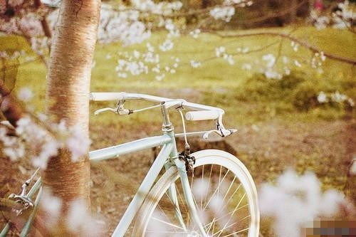 關于現實生活人生的哲理說說帶圖片 一個人活著應該永遠要把目光投向遠方14