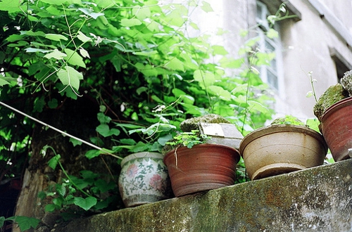 喜歡一個(gè)人時(shí)的甜蜜心情愛情說說帶圖片13