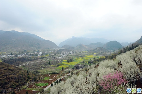 每天一句正能量的句子勵志向上 全新的元氣滿滿的勵志說說2