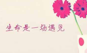 關(guān)于一輩子的愛情甜蜜說說配圖 我會讓我的愛陪你慢慢的老去9