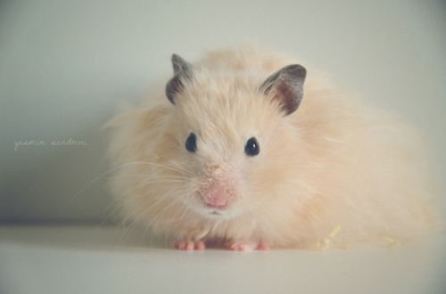 關(guān)于愛情的有些傷感難過(guò)的說(shuō)說(shuō)帶圖片 遇你之后步步都難走4