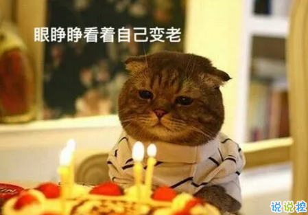 祝自己生日快樂(lè)的話搞笑圖片 發(fā)朋友圈表達(dá)自己生日搞笑個(gè)性說(shuō)說(shuō)20189
