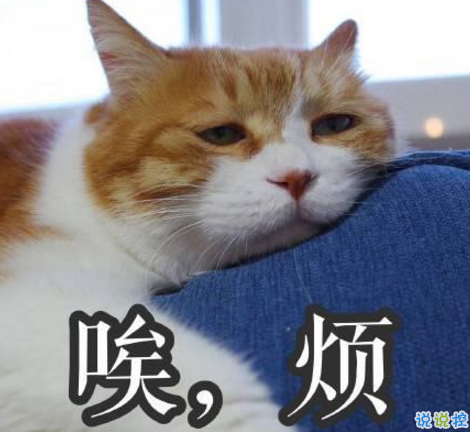 學(xué)生黨有趣圖片帶搞笑個(gè)性說(shuō)說(shuō) 你體驗(yàn)過(guò)暴瘦的滋味嗎6