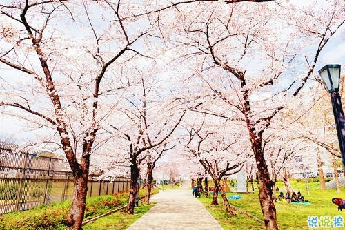 2019非主流經(jīng)典愛情說說帶圖片 很打動人的一些愛情真理9