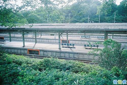 那些和青春夏天有關的唯美簡單小清新圖片句子 陽光傾落風雨都不舍3