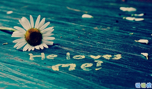 很特別的早安說說大全帶圖片 朋友圈早安心語獨一無二吸引人8