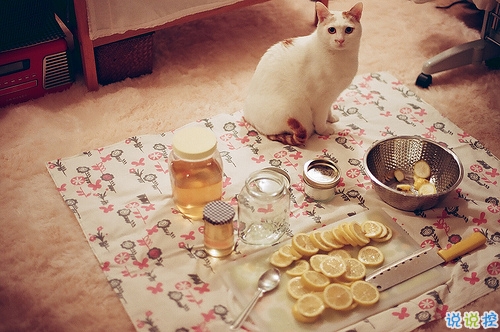 讓人瞬間紅了眼眶的歌詞傷感難過(guò)圖片說(shuō)說(shuō) 人生若如初見(jiàn)15