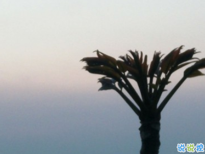 秀恩愛的優(yōu)雅句子簡單好聽配圖 我的心為你跳動15