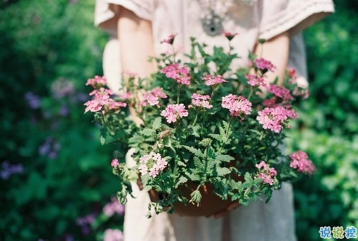 戀愛(ài)中的唯美心情說(shuō)說(shuō)帶圖片 遇到對(duì)的人感到幸福的說(shuō)說(shuō)5