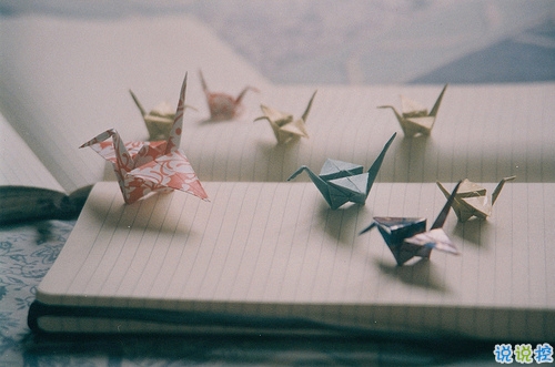 分手后的心酸難過傷感說說 關(guān)于愛情我們誰都沒有錯15