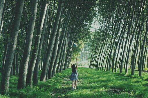 那些愛而不得的心酸和傷感圖片句子 似曾已看過極光海洋和彩虹16
