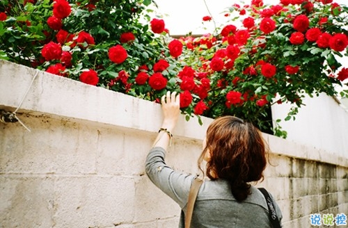 2019再見一月你好二月微信說說大全 最新勵(lì)志說說散發(fā)正能量1