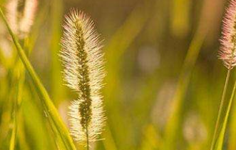 在夢(mèng)里也會(huì)潸然淚下的說(shuō)說(shuō)帶圖 如果時(shí)光倒流峩捫能抓得住什么9