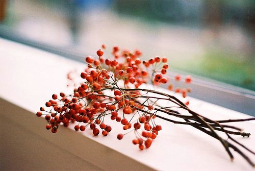 一句短句英文情話表白很暖心 很甜很聊的英文表白情話值得收藏2