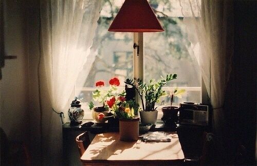 喜歡一個(gè)人的甜蜜小情話說說帶圖片 不愿再研墨執(zhí)筆因?yàn)樽掷镄虚g全是你7