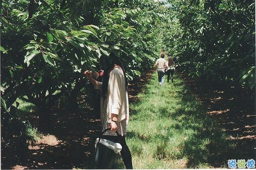 文字控關(guān)于青春成長的唯美說說和圖片 年華是一場無聲劇11