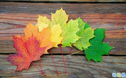 寫給閨蜜的一些說(shuō)說(shuō)句子很煽情 暖心的閨蜜說(shuō)說(shuō)簡(jiǎn)單卻讓人感動(dòng)2