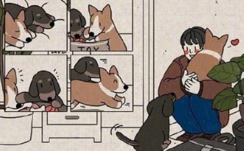 關(guān)于一輩子的愛情甜蜜說說配圖 我會讓我的愛陪你慢慢的老去6