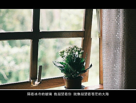 超傷感難過悲傷的愛情說說 你是我枯水年紀里的一場雨12