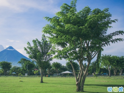 2019植樹節(jié)微信說說帶圖片 適合植樹節(jié)發(fā)的的心情說說短語3