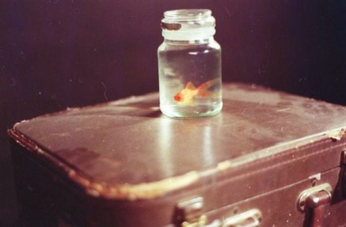 唯美文藝說(shuō)說(shuō)帶圖片 想做一個(gè)長(zhǎng)長(zhǎng)的夢(mèng)回到十九歲那年14