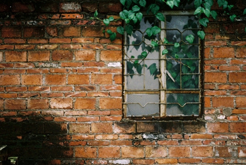 關(guān)于愛情的簡單有哲理的句子帶圖片 不要貪心找到那個(gè)對的人就第一時(shí)間決定吧7