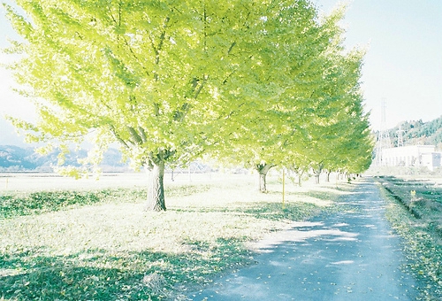 關(guān)于生活的經(jīng)典心靈雞湯英文說說帶圖片 Life lifts you over the bar.11