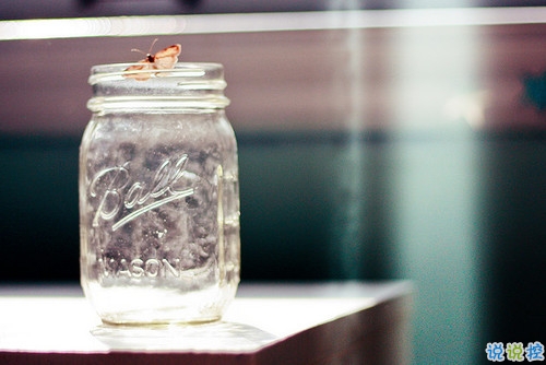 女生傷感心痛到窒息的圖片句子 所有的悲歡都是我一個人的灰燼8