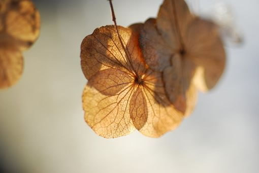 關(guān)于愛情感情的感悟有哲理深意的精辟說說帶圖片10