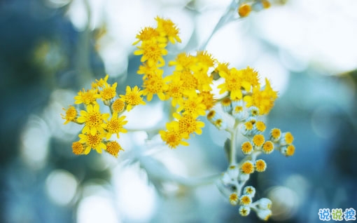 2019春分朋友圈心情說說大全 春分節(jié)氣微信簡(jiǎn)短說說1