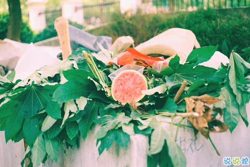 很經(jīng)典精辟的蔡康永經(jīng)典語錄 簡單一句話中蘊含著大智慧的句子1