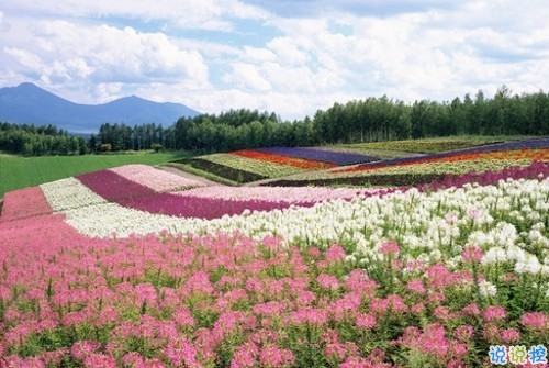 2019女生節(jié)微信說說大全帶圖片 三七女生節(jié)朋友圈祝福語說說14