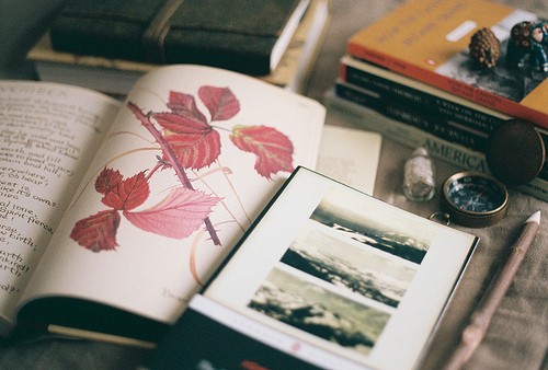 悄無聲息的默默暗戀一個人的傷感心情說說帶圖片5