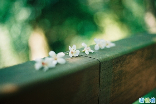 有點(diǎn)小傷感的說(shuō)說(shuō)唯美文藝帶圖片 今天心情不美好的說(shuō)說(shuō)很簡(jiǎn)單9