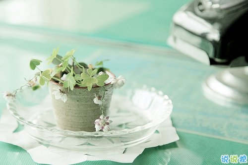 簡單一句話早安說說很勵(lì)志 愿你的世界永遠(yuǎn)是晴天7