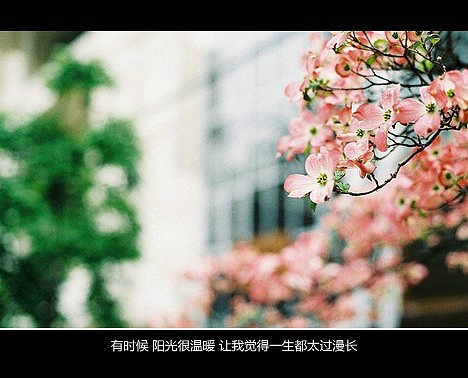 超傷感難過悲傷的愛情說說 你是我枯水年紀里的一場雨3