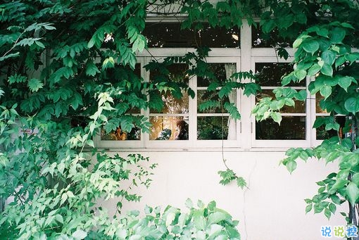 一個人獨處時候的孤獨是什么感覺呢？6